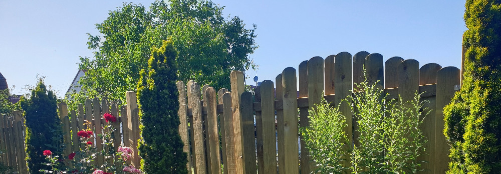 Holzzaun und Bäume an einem sonnigen Tag